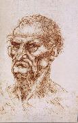 LEONARDO da Vinci, Study of an old man